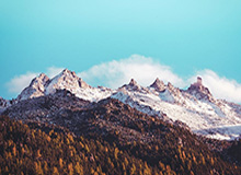 大众娱乐平台:把娱乐带回生活的每一个角落