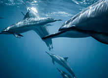 大众娱乐平台：把娱乐带回生活的每一个角落